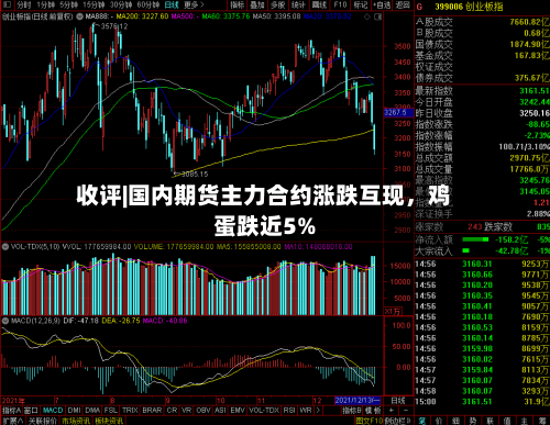 收评|国内期货主力合约涨跌互现，鸡蛋跌近5%