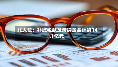 北大荒：补缴税款及滞纳金合计约14.1亿元-第2张图片