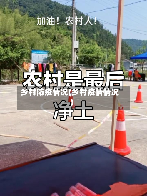 乡村防疫情况(乡村疫情情况)-第3张图片