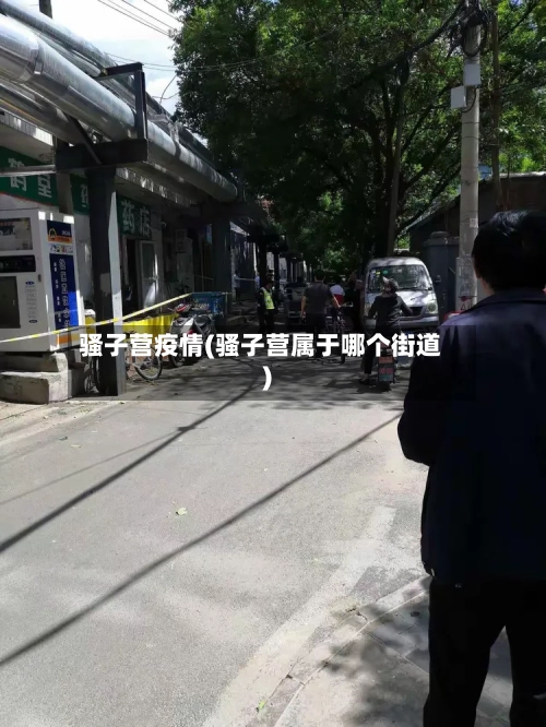 骚子营疫情(骚子营属于哪个街道)-第2张图片
