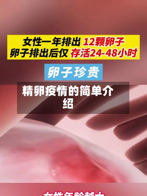 精卵疫情的简单介绍