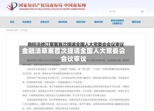 金融法草案首次提请全国人大常委会会议审议-第2张图片