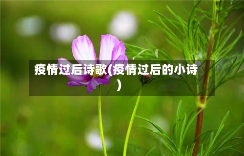 疫情过后诗歌(疫情过后的小诗)