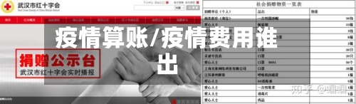 疫情算账/疫情费用谁出-第2张图片