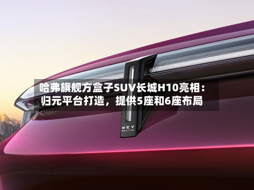 哈弗旗舰方盒子SUV长城H10亮相：归元平台打造，提供5座和6座布局-第3张图片