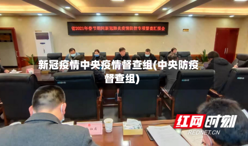 新冠疫情中央疫情督查组(中央防疫督查组)