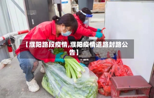 【濮阳路段疫情,濮阳疫情道路封路公告】-第2张图片