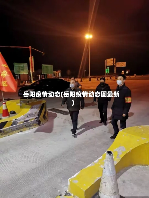 岳阳疫情动态(岳阳疫情动态图最新)-第3张图片
