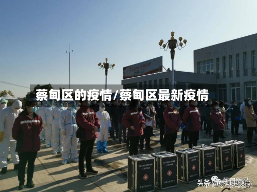 蔡甸区的疫情/蔡甸区最新疫情