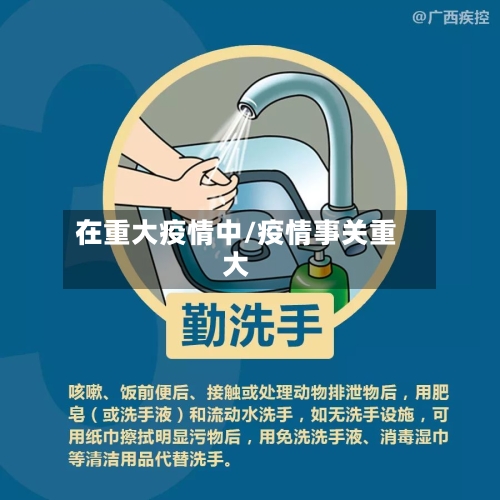 在重大疫情中/疫情事关重大