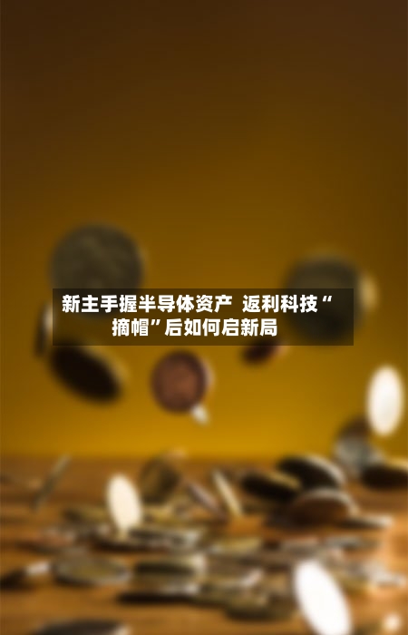 新主手握半导体资产  返利科技“摘帽”后如何启新局