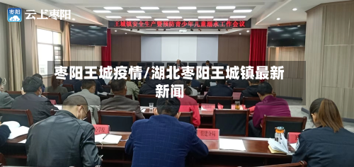 枣阳王城疫情/湖北枣阳王城镇最新新闻-第3张图片