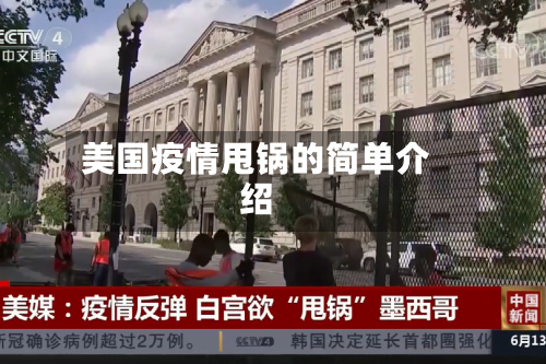 美国疫情甩锅的简单介绍-第2张图片