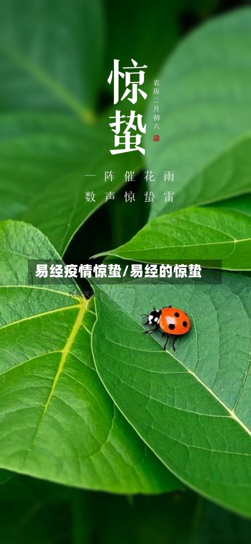 易经疫情惊蛰/易经的惊蛰-第3张图片