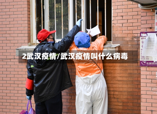 2武汉疫情/武汉疫情叫什么病毒-第2张图片