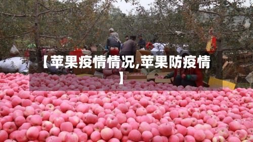 【苹果疫情情况,苹果防疫情】-第2张图片