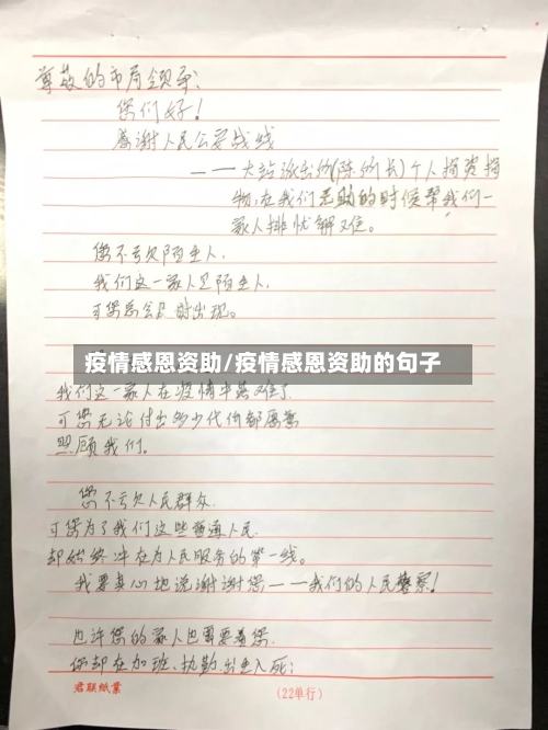 疫情感恩资助/疫情感恩资助的句子
