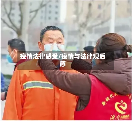 疫情法律感受/疫情与法律观后感