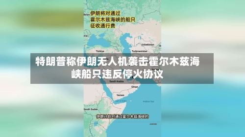 特朗普称伊朗无人机袭击霍尔木兹海峡船只违反停火协议-第3张图片