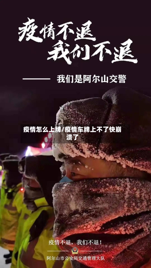 疫情怎么上牌/疫情车牌上不了快崩溃了