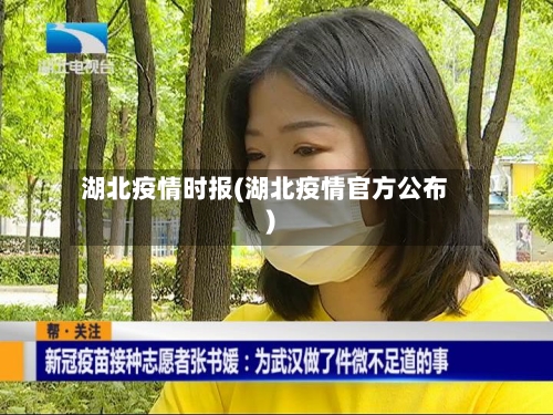 湖北疫情时报(湖北疫情官方公布)-第3张图片