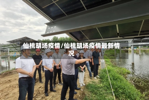 仙桃胡场疫情/仙桃胡场疫情最新情况-第2张图片
