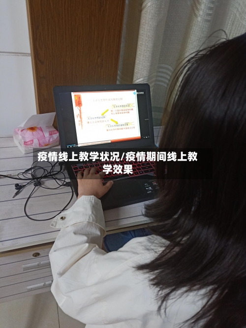 疫情线上教学状况/疫情期间线上教学效果