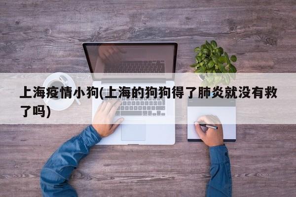 上海疫情小狗(上海的狗狗得了肺炎就没有救了吗)