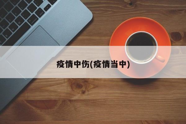 疫情中伤(疫情当中)
