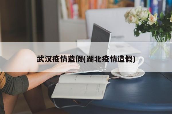 武汉疫情造假(湖北疫情造假)